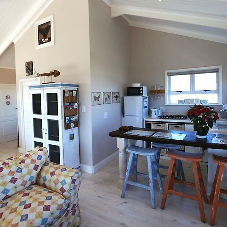 Reddoor Studio Pringle Bay Exteriér fotografie